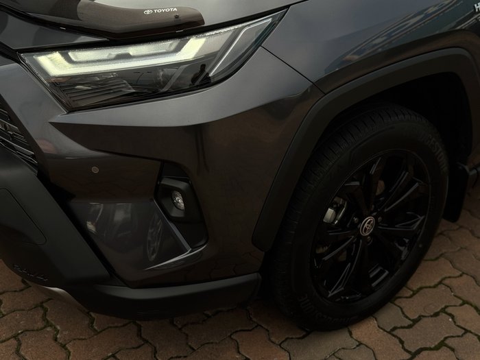 2022 Toyota RAV4 Cruiser