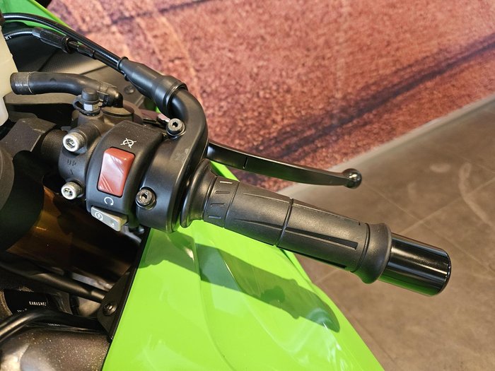 2024 Kawasaki Ninja ZX-6R 40th Anniversary Edition Ninja Green