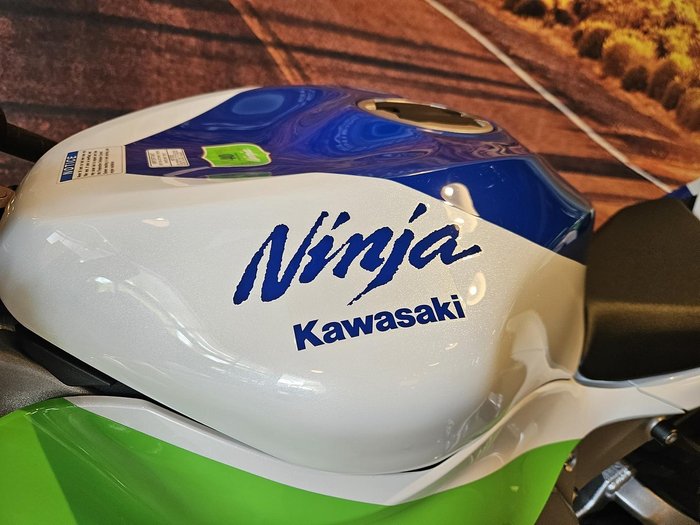 2024 Kawasaki Ninja ZX-6R 40th Anniversary Edition Ninja Green