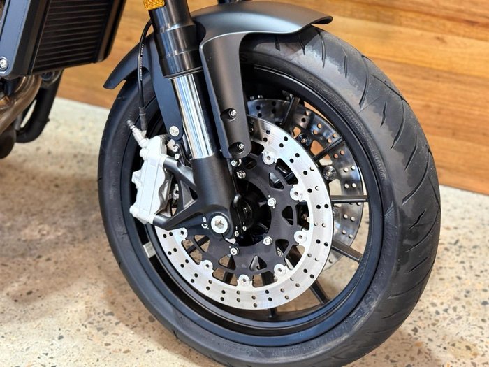 2024 HARLEY-DAVIDSON 2024 Harley-davidson 500CC X500
