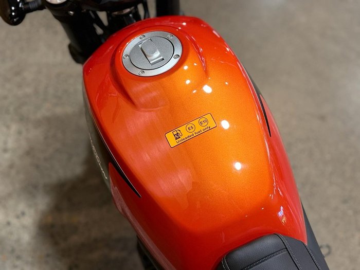 2024 HARLEY-DAVIDSON 2024 Harley-davidson 500CC X500