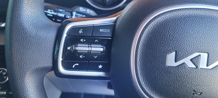 2022 Kia Carnival S