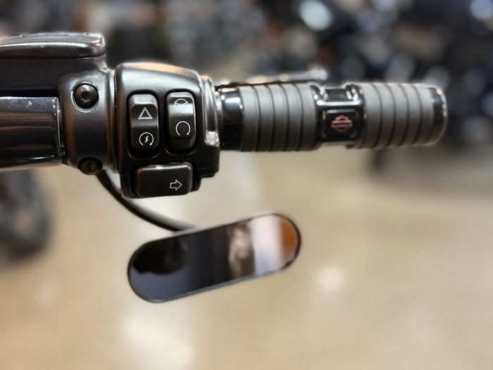 2021 HARLEY-DAVIDSON FXFBS FAT BOB (114)