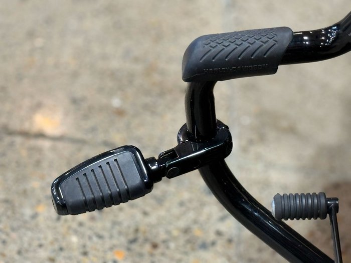 2021 HARLEY-DAVIDSON FXFBS FAT BOB (114)