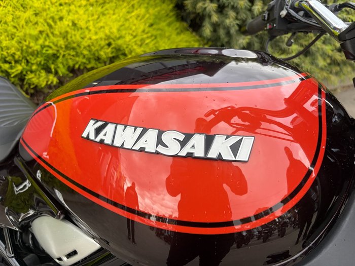 2019 Kawasaki Z900RS (ZR900C) Brown
