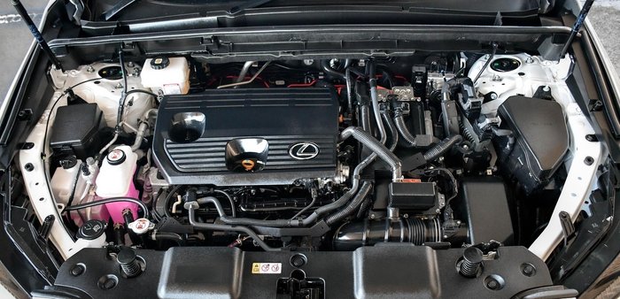 2025 Lexus NX 350h F Sport