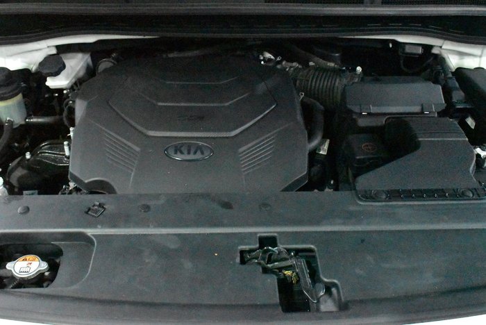 2019 Kia Carnival S