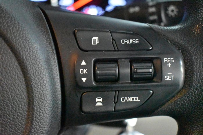 2019 Kia Carnival S