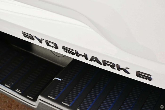 2025 BYD SHARK 6