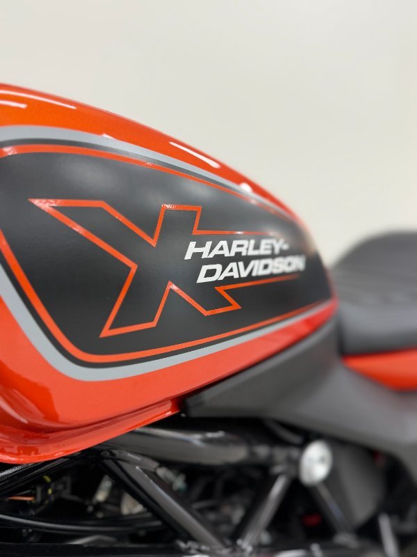 2024 Harley-davidson HD350-10 H-DX X350 Orange