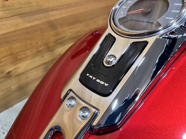 2026 HARLEY-DAVIDSON FLFB FAT BOY (117)