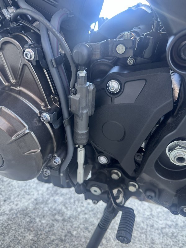 2024 Yamaha XSR900 (MTM850A) Blue