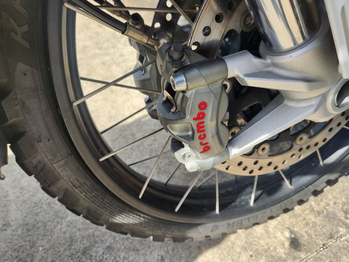 2022 DUCATI DESERTX WHITE
