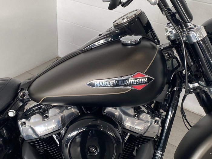 2021 Harley-Davidson Slim 107 (FLSL) Softail Grey