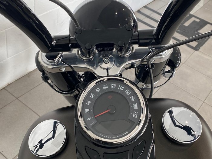 2021 Harley-Davidson Slim 107 (FLSL) Softail Grey