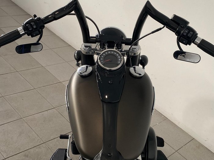 2021 Harley-Davidson Slim 107 (FLSL) Softail Grey