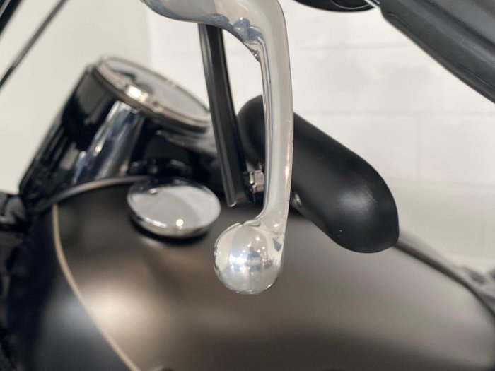 2021 Harley-Davidson Slim 107 (FLSL) Softail Grey