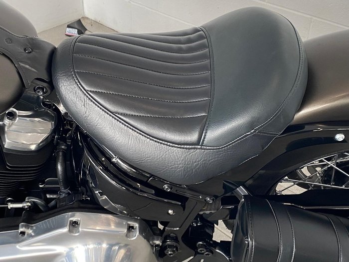 2021 Harley-Davidson Slim 107 (FLSL) Softail Grey