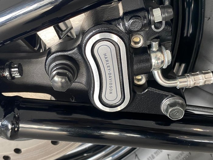 2021 Harley-Davidson Slim 107 (FLSL) Softail Grey