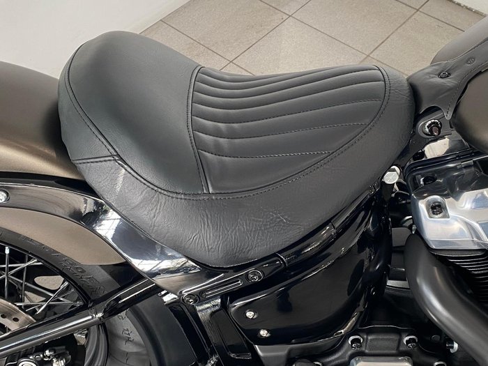 2021 Harley-Davidson Slim 107 (FLSL) Softail Grey