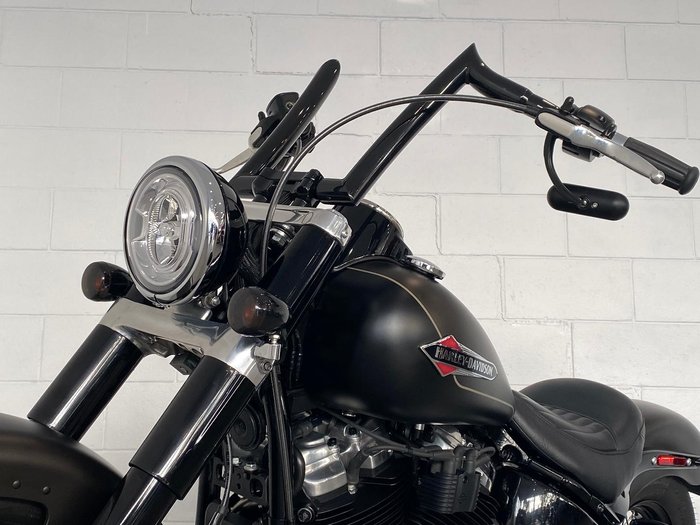 2021 Harley-Davidson Slim 107 (FLSL) Softail Grey