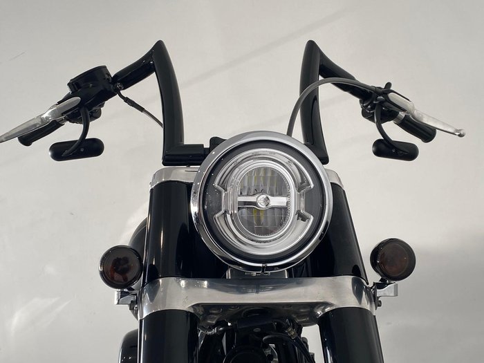2021 Harley-Davidson Slim 107 (FLSL) Softail Grey