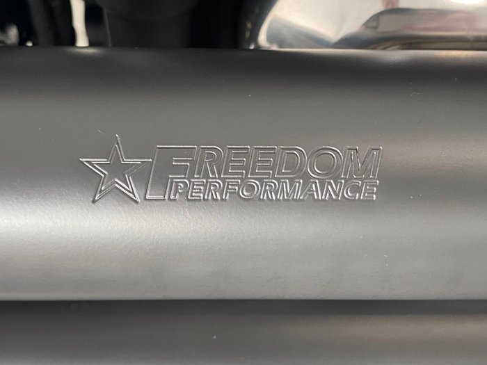 2021 Harley-Davidson Slim 107 (FLSL) Softail Grey