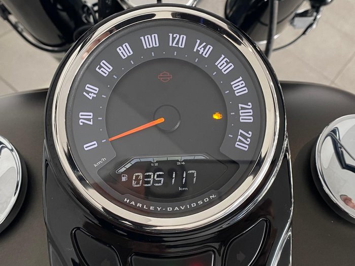 2021 Harley-Davidson Slim 107 (FLSL) Softail Grey