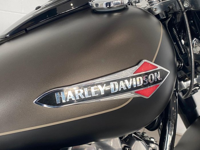 2021 Harley-Davidson Slim 107 (FLSL) Softail Grey