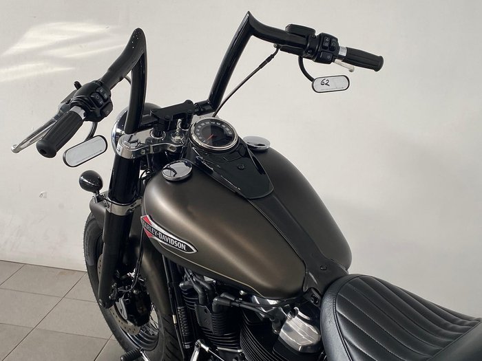 2021 Harley-Davidson Slim 107 (FLSL) Softail Grey