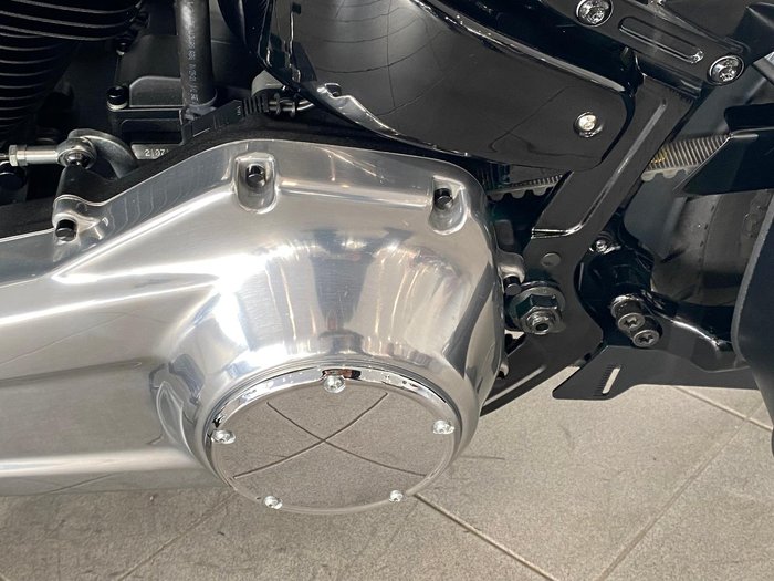2021 Harley-Davidson Slim 107 (FLSL) Softail Grey