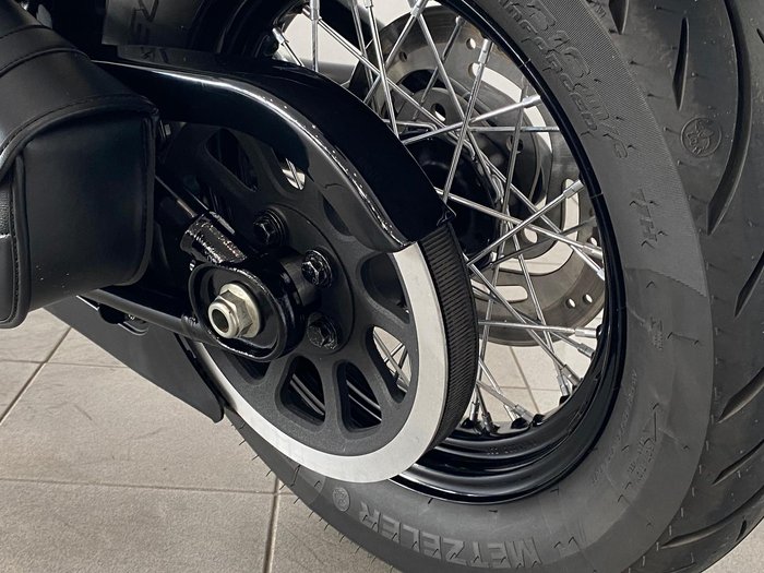 2021 Harley-Davidson Slim 107 (FLSL) Softail Grey