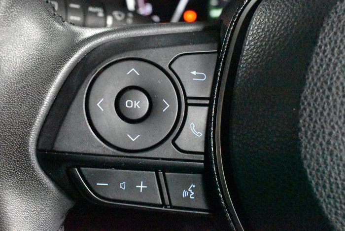 2021 Toyota RAV4 Cruiser