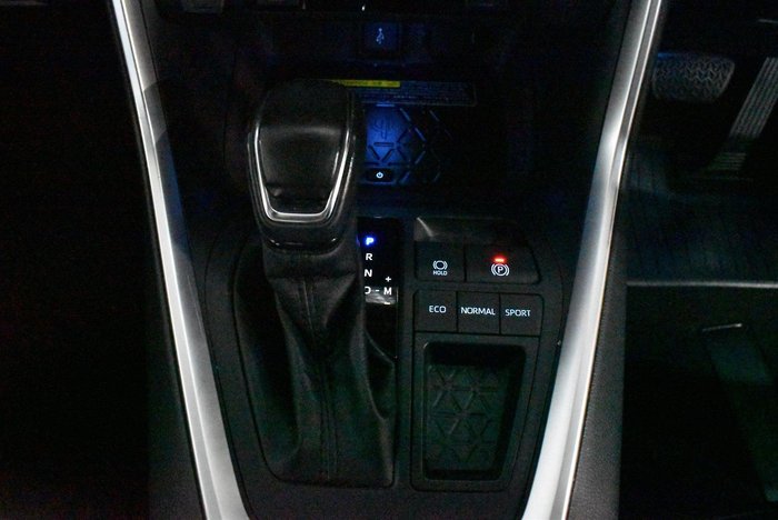 2021 Toyota RAV4 Cruiser