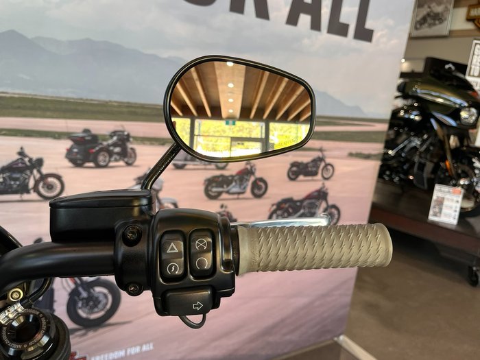 2022 HARLEY-DAVIDSON FXLRS LOW RIDER S (117)