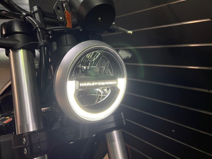 2024 HARLEY-DAVIDSON HD350-10 H-DX X350 Silver