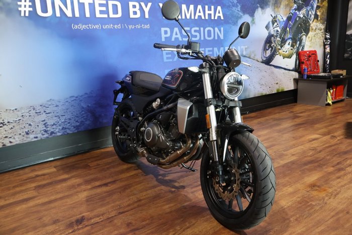 2024 HARLEY-DAVIDSON HD350-10 H-DX X350 Black