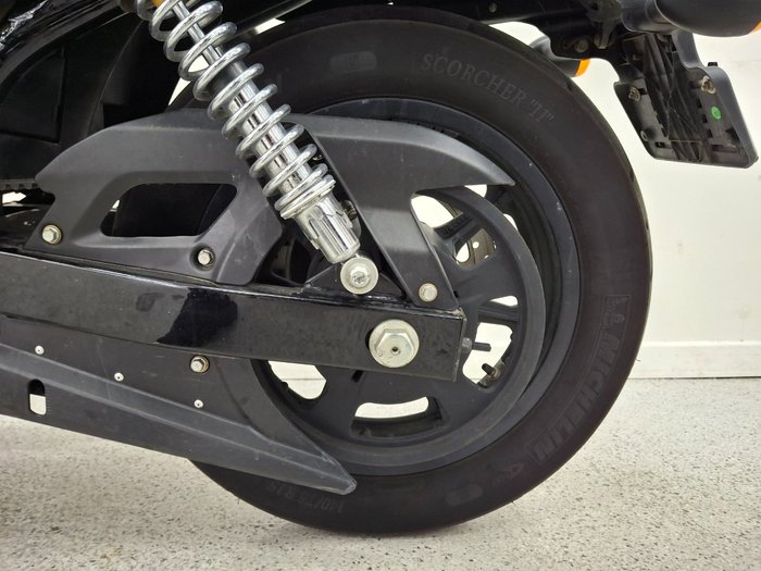 2019 Harley-davidson XG500 STREET 500 Black