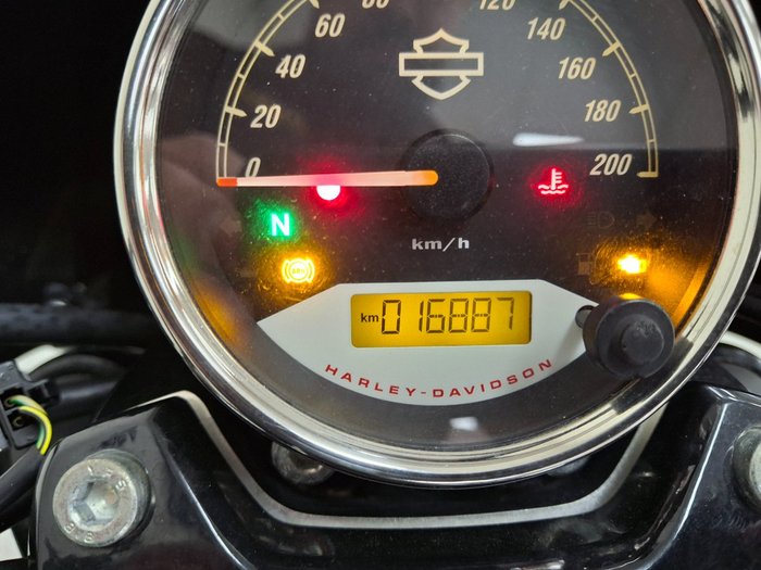 2019 Harley-davidson XG500 STREET 500 Black