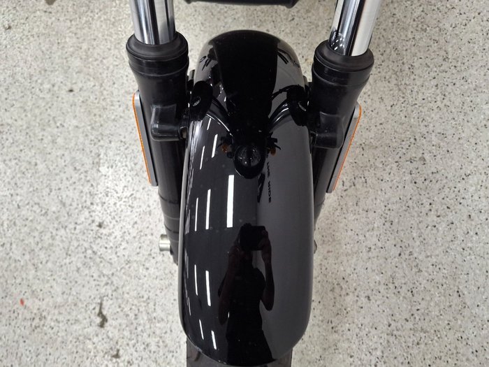 2019 Harley-davidson XG500 STREET 500 Black
