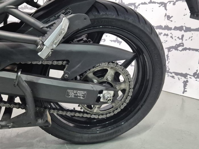 2019 Kawasaki Versys 1000 SE Versys Green