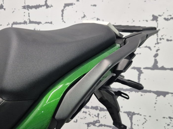 2019 Kawasaki Versys 1000 SE Versys Green
