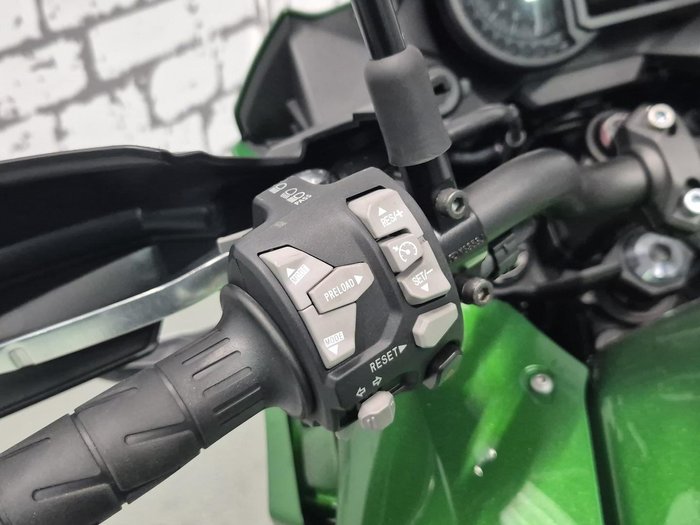 2019 Kawasaki Versys 1000 SE Versys Green