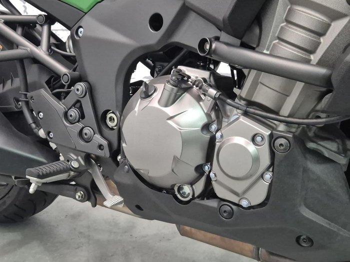 2019 Kawasaki Versys 1000 SE Versys Green