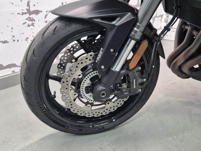 2019 Kawasaki Versys 1000 SE Versys Green