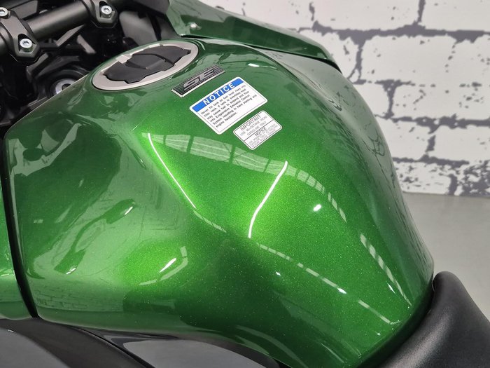 2019 Kawasaki Versys 1000 SE Versys Green