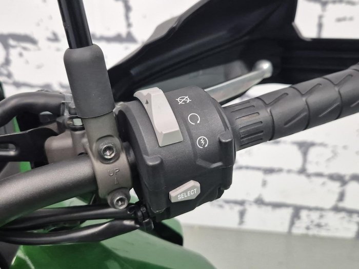 2019 Kawasaki Versys 1000 SE Versys Green