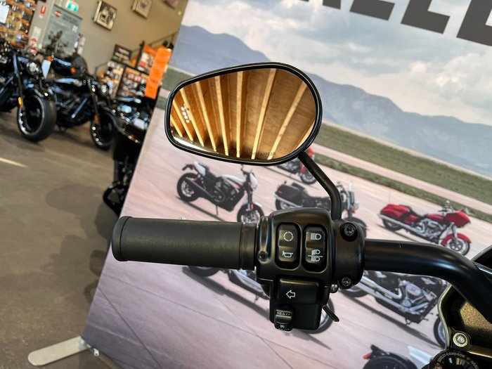 2024 HARLEY-DAVIDSON FXLRS LOW RIDER S (117)