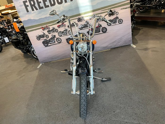 2009 HARLEY-DAVIDSON FXSTC SOFTAIL CUSTOM