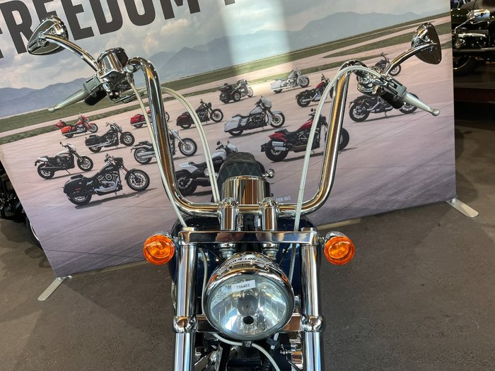 2009 HARLEY-DAVIDSON FXSTC SOFTAIL CUSTOM